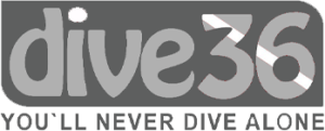 Dive logo